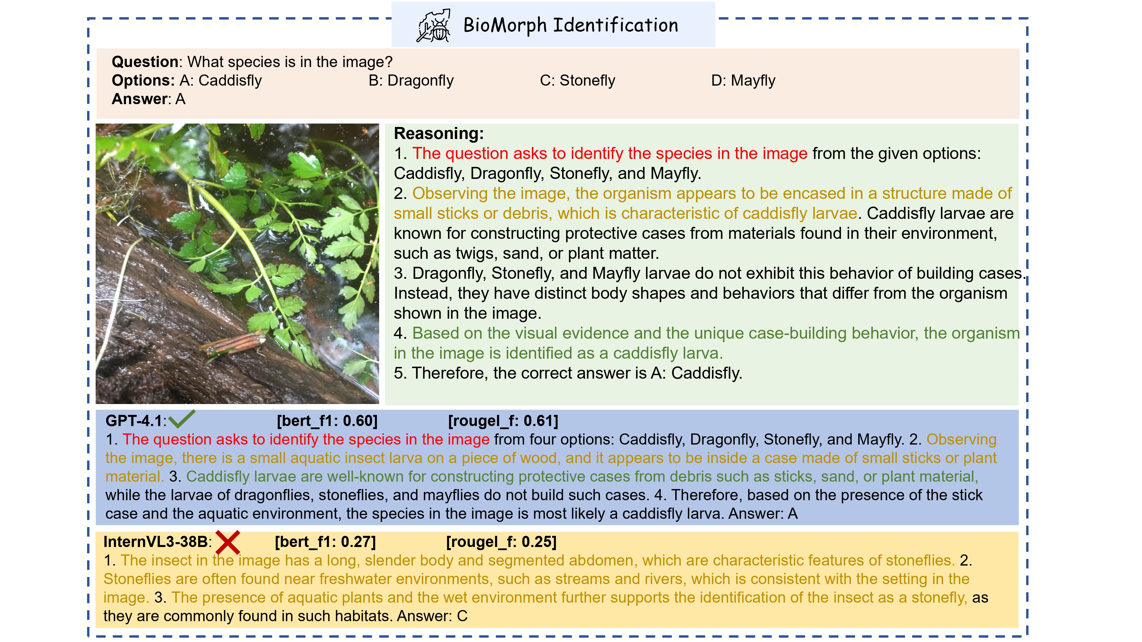 BioMorph Identification